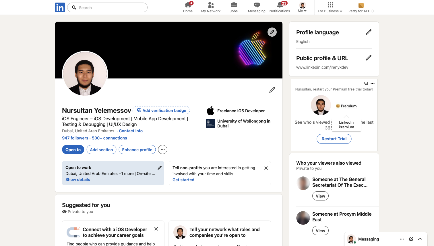 Nursultan Yelemessov LinkedIn profile preview